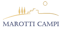 Marotti Campi Logo