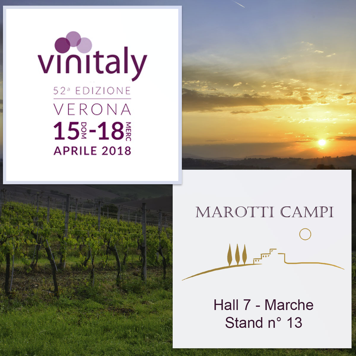 Marotti-Campi-Vinitaly-2018