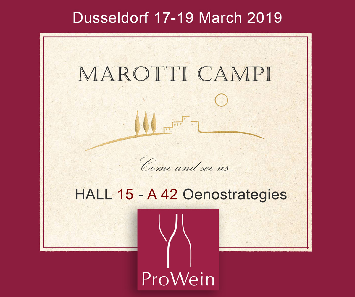 Dusseldorf-2019 Marotti Campi